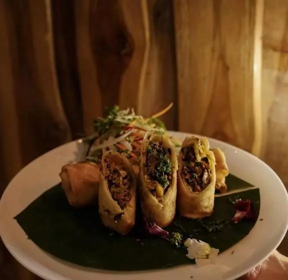 ユースホステル Casa Del Sol