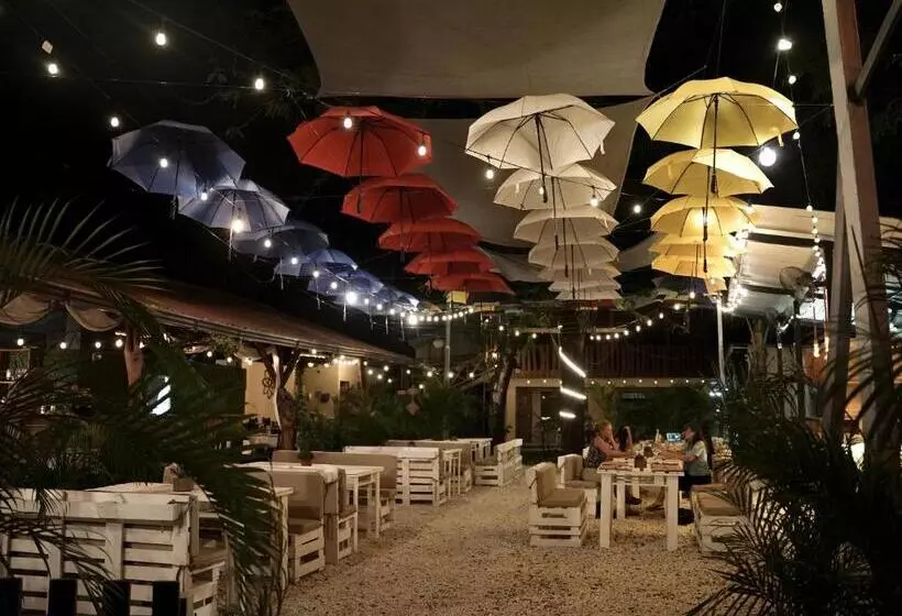 ユースホステル Casa Del Sol