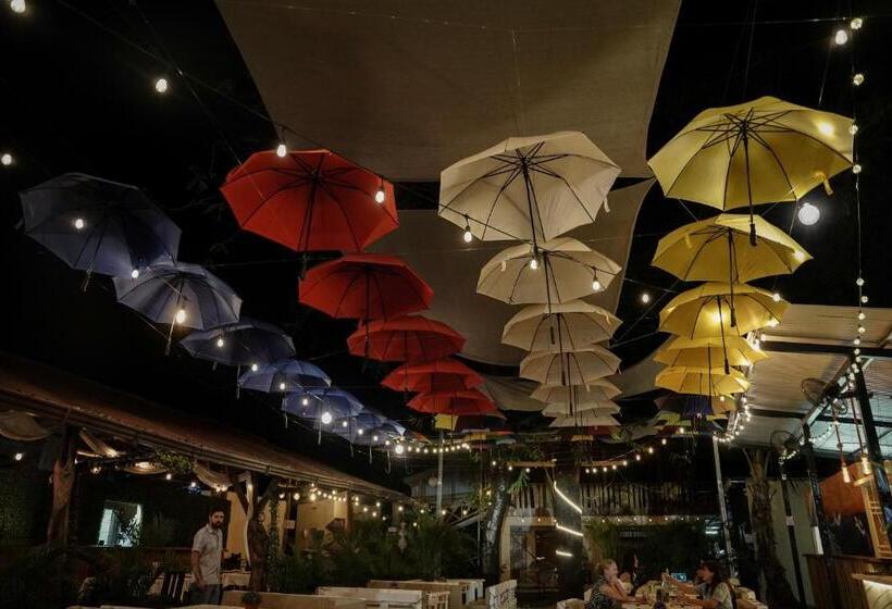 هاستل Casa Del Sol