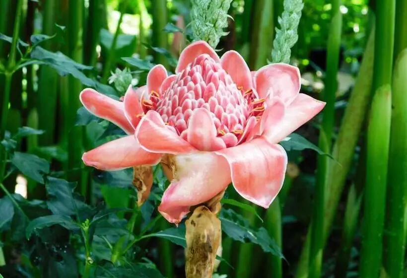 Hotelli パーク琴芝