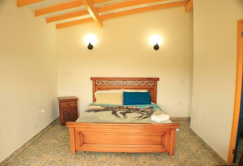 בית מלון כפרי Alegria Hostel Boutique