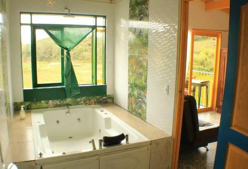 ホテル Alegria Hostel Boutique