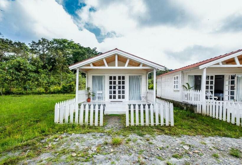 Hotel Out House, 1br, Stay, Dine And Fitness By Roamhome