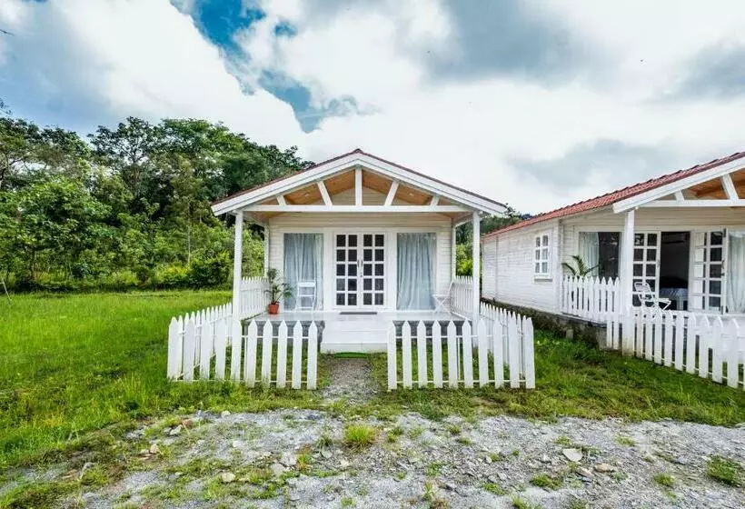 ホテル Out House, 1br, Stay, Dine And Fitness By Roamhome