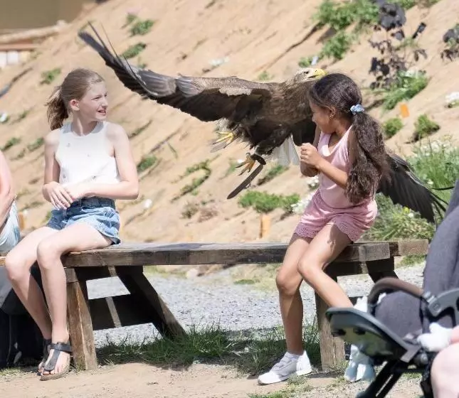 Der Eifel Perle Manderscheid