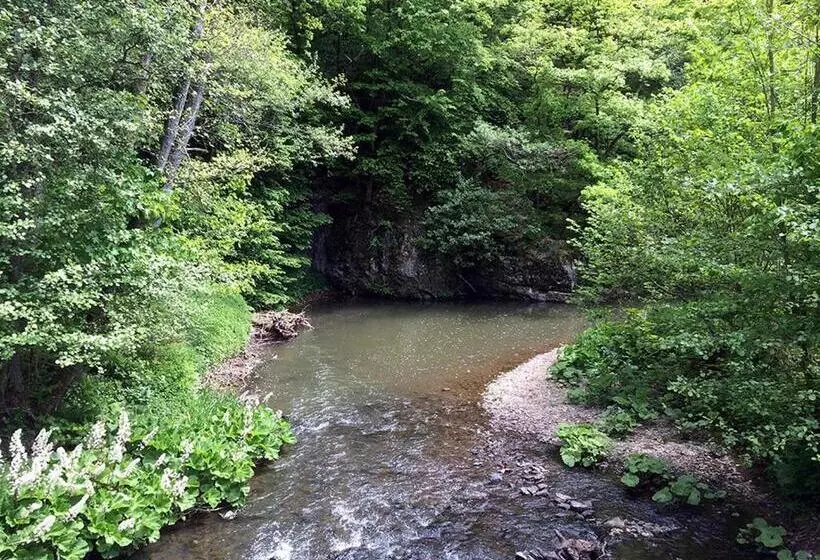 Der Eifel Perle Manderscheid