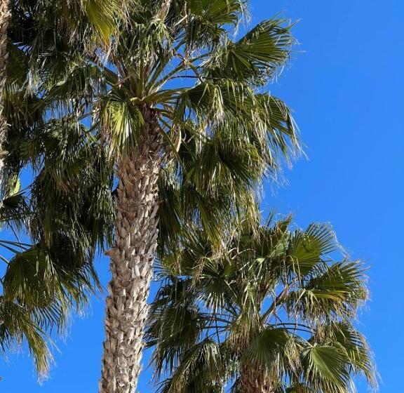 Fresh Apartment, 2 Bedroom, 2 Bathroom, 2 Lovely Poolareas