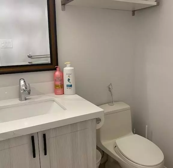 Luxurious And Spacious Apartment With 2 Bedrooms And 2 Baths