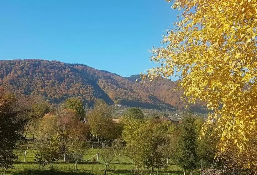 Pensiunea Cehov