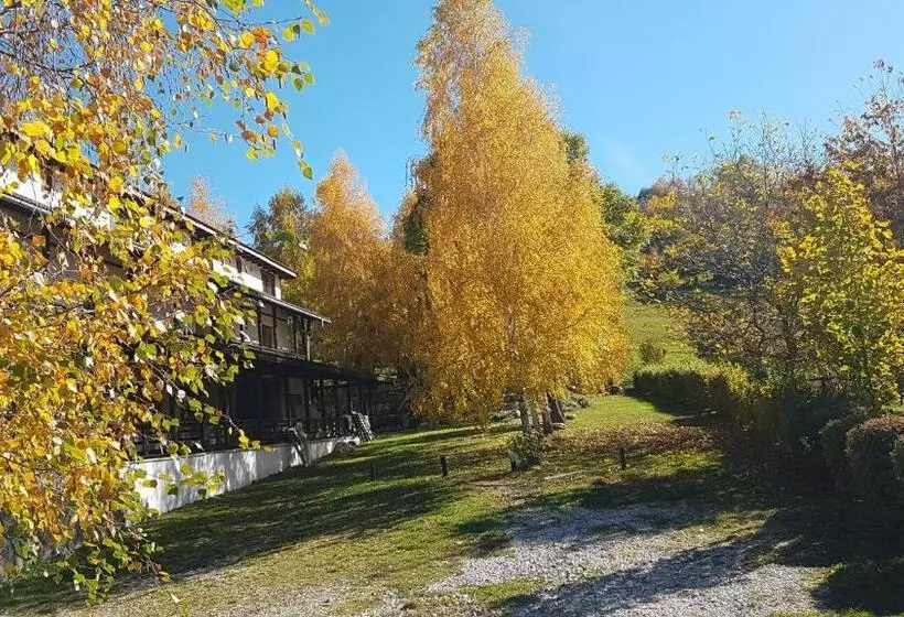 Pensiunea Cehov