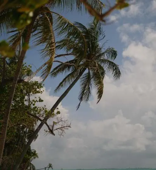 پانسیون Noorani Retreat Dhiffushi