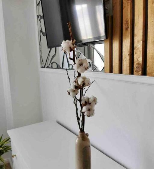 Lovely 3 Bedroom Apartment In The City Center