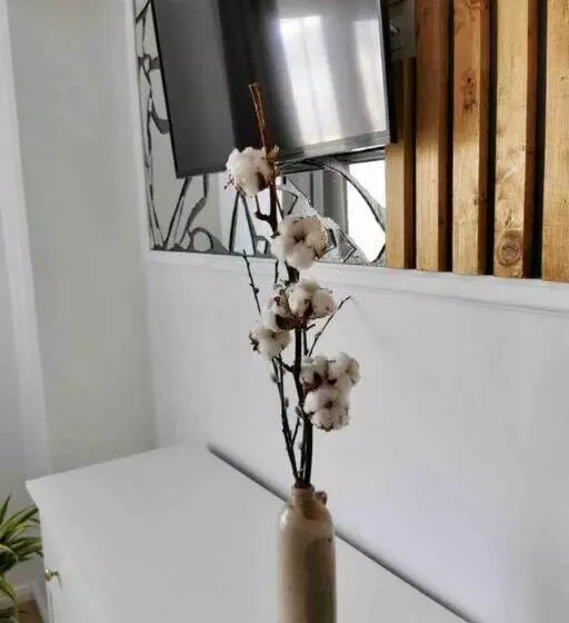 Lovely 3 Bedroom Apartment In The City Center