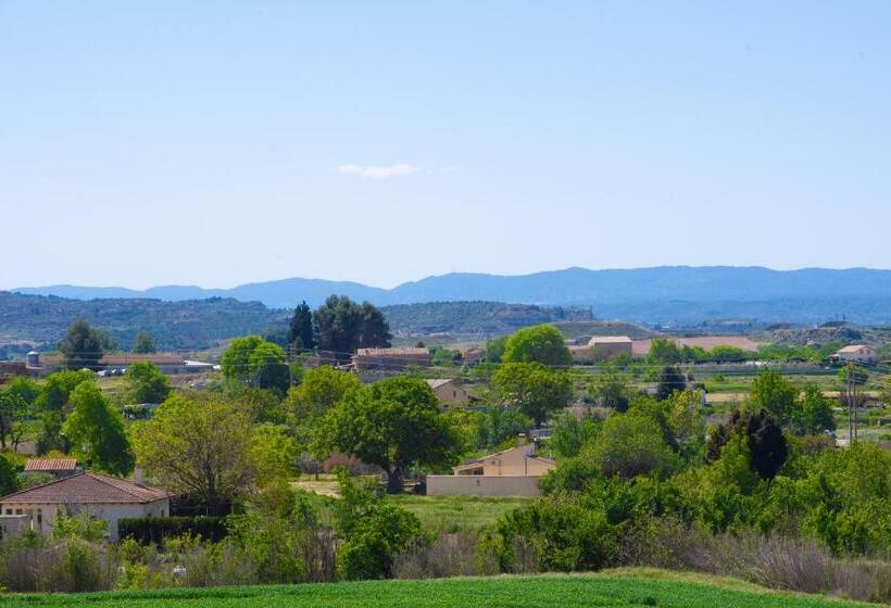 Mequedo Avenida Zaragoza
