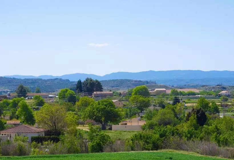 Mequedo Avenida Zaragoza
