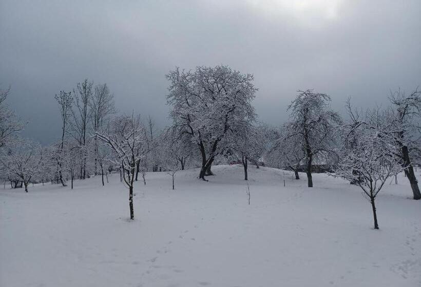 Pensiunea Agroturistica Casa Pribegilor