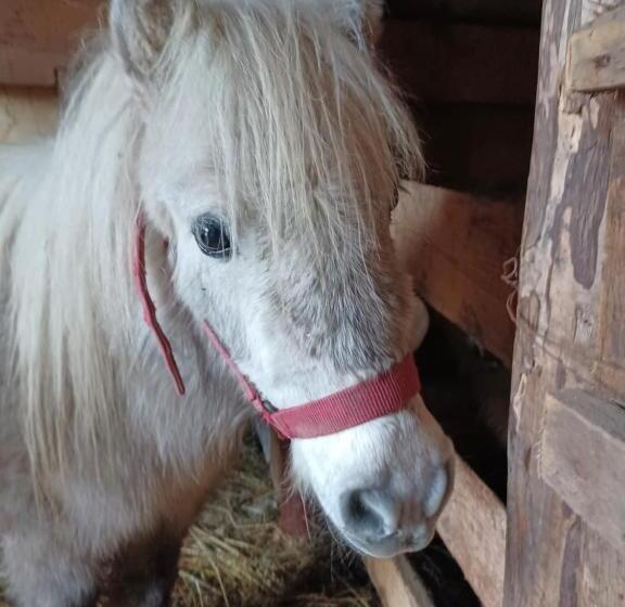 Pensiunea Agroturistica Casa Pribegilor