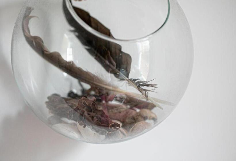 The Terrace Light, Bright Characterful Coastal Home With Parking Near Beaches