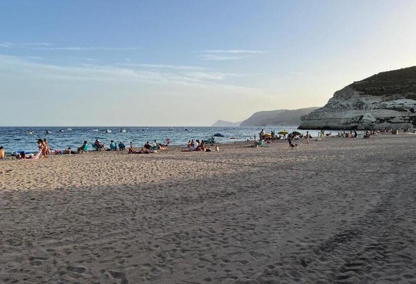 Los Pinos Del Mar ático Con Solárium Privado