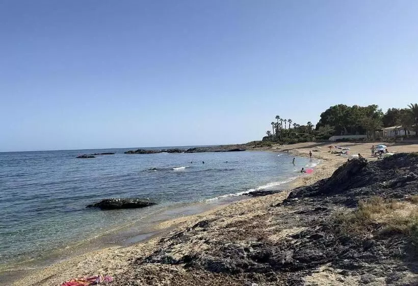 Los Pinos Del Mar   ático Con Solárium Privado