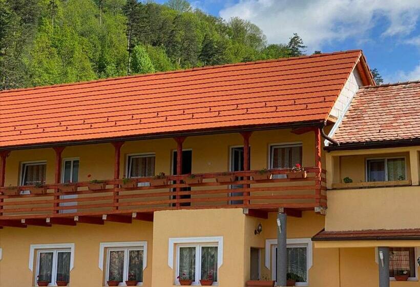 پانسیون Rajni Panzio