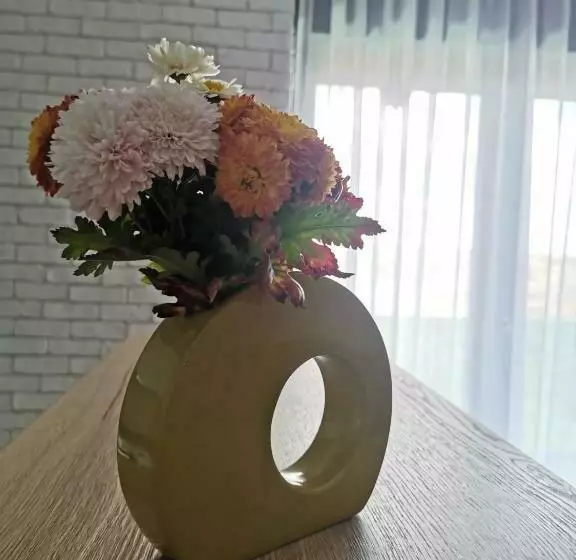 Apartament Incantator Iasi Copou