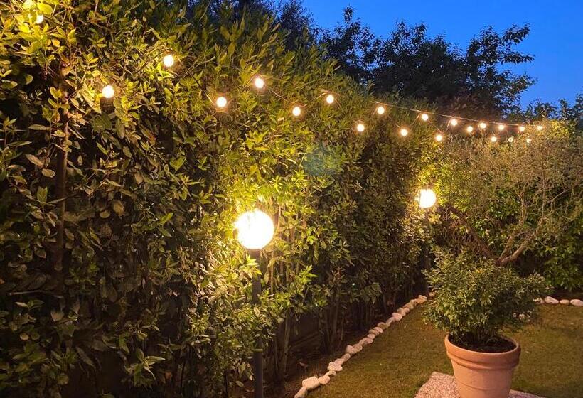 Appartamento L Olivo