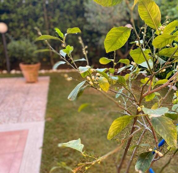 Appartamento L Olivo