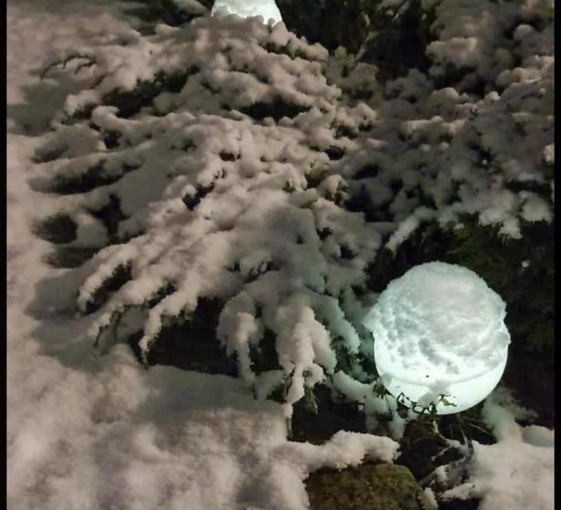 Ferienhaus Gesindestube Trusetal