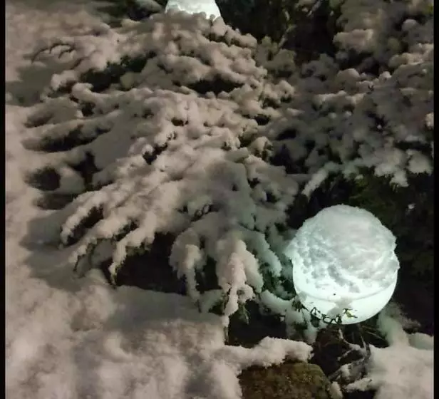 Ferienhaus Gesindestube Trusetal