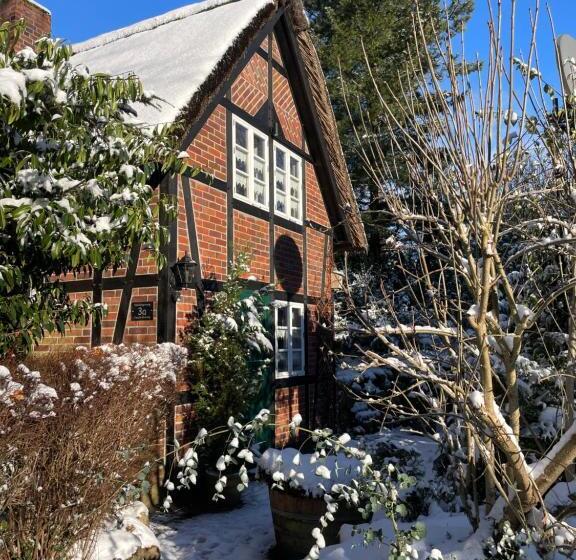 Ferienhaus Unter Reet Im Heidedorf Sankt Dionys Bei Lüneburg