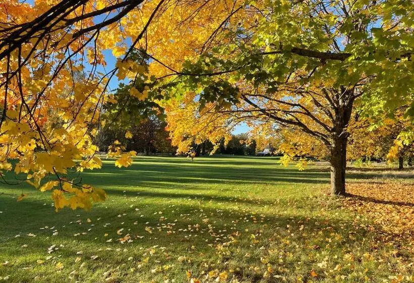 Ferienhaus Unter Reet Im Heidedorf Sankt Dionys Bei Lüneburg