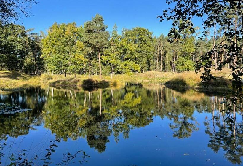 Ferienhaus Unter Reet Im Heidedorf Sankt Dionys Bei Lüneburg