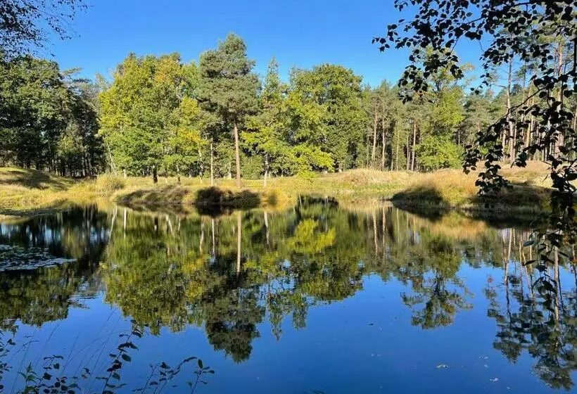 Ferienhaus Unter Reet Im Heidedorf Sankt Dionys Bei Lüneburg