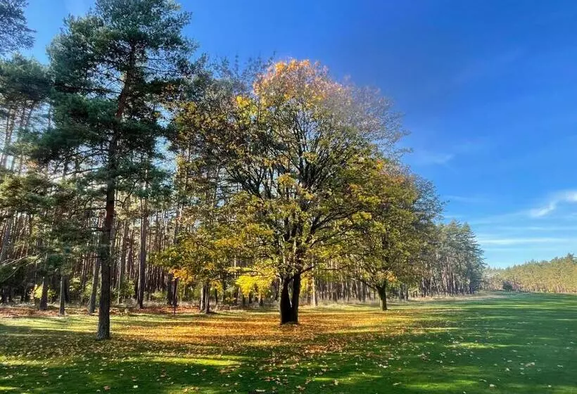 Ferienhaus Unter Reet Im Heidedorf Sankt Dionys Bei Lüneburg