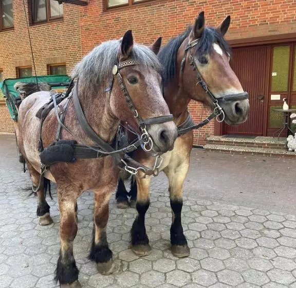 Ferienhaus Unter Reet Im Heidedorf Sankt Dionys Bei Lüneburg