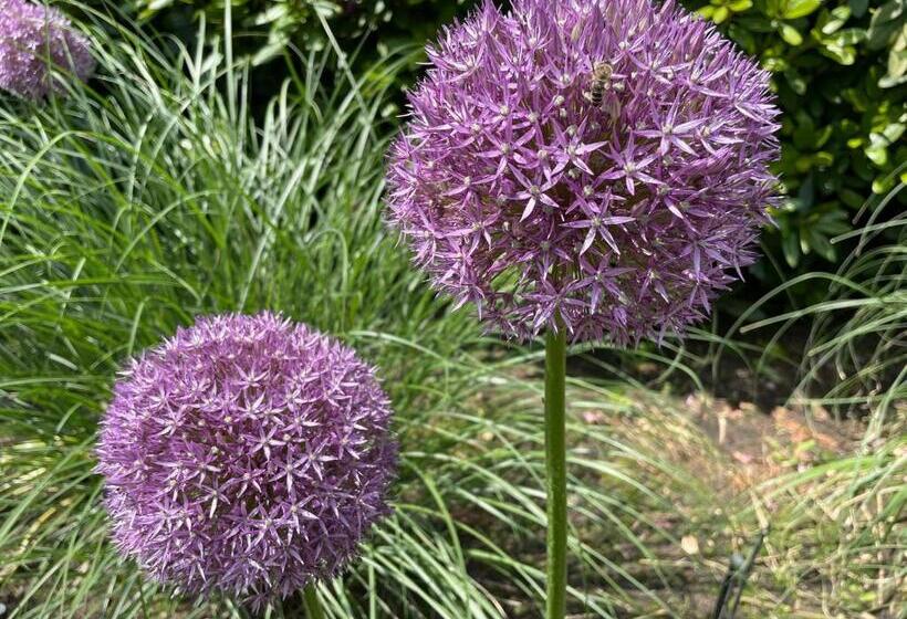 Ferienhaus Unter Reet Im Heidedorf Sankt Dionys Bei Lüneburg