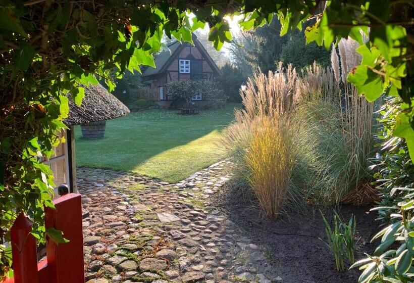 Ferienhaus Unter Reet Im Heidedorf Sankt Dionys Bei Lüneburg