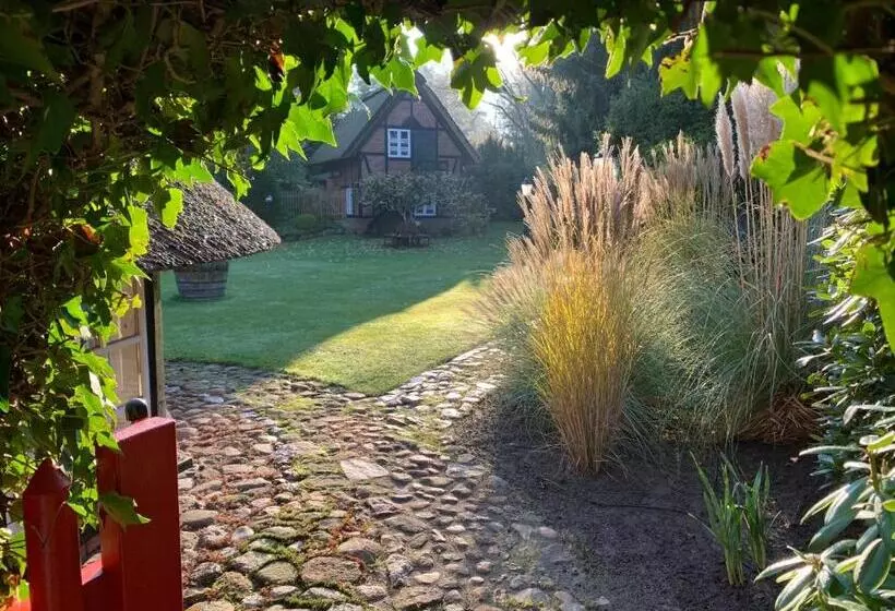 Ferienhaus Unter Reet Im Heidedorf Sankt Dionys Bei Lüneburg