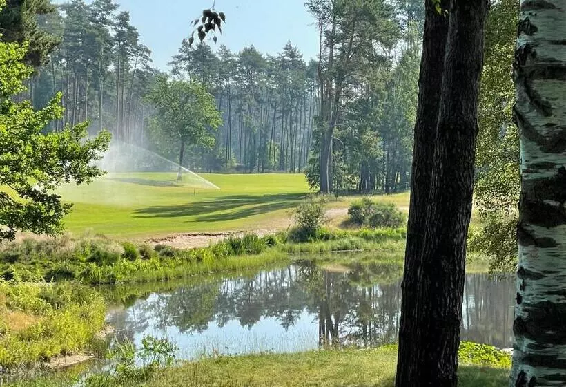 Ferienhaus Unter Reet Im Heidedorf Sankt Dionys Bei Lüneburg