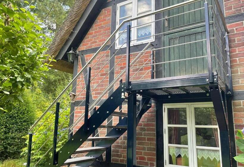 Ferienhaus Unter Reet Im Heidedorf Sankt Dionys Bei Lüneburg