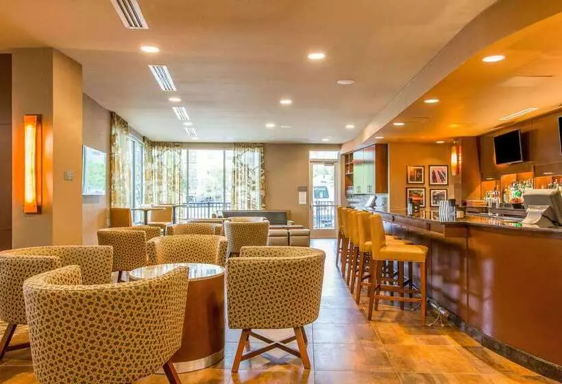 Cambria Hotel Plano   Frisco