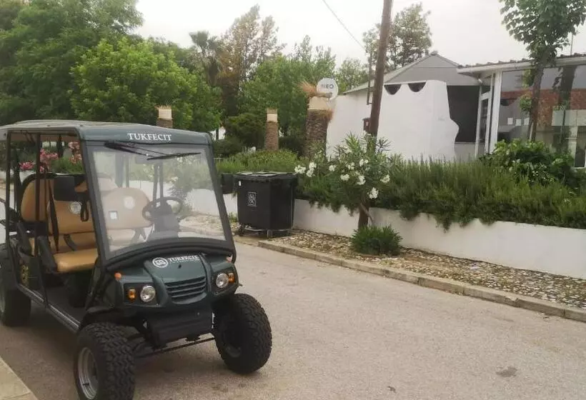 A Casa Do Mestre Lau   No Coração Do Alentejo