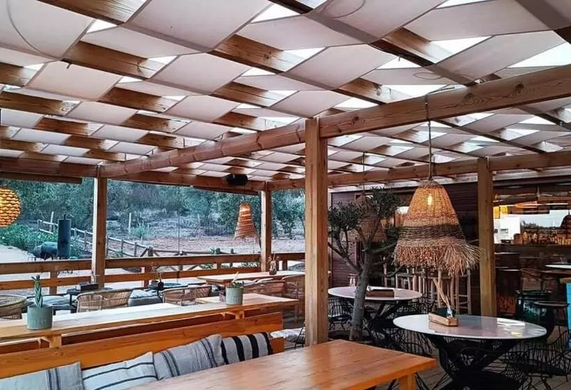 A Casa Do Mestre Lau   No Coração Do Alentejo