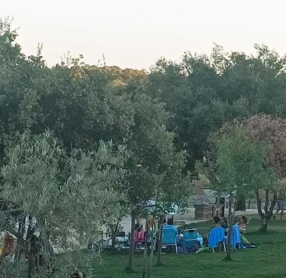 A Casa Do Mestre Lau No Coração Do Alentejo