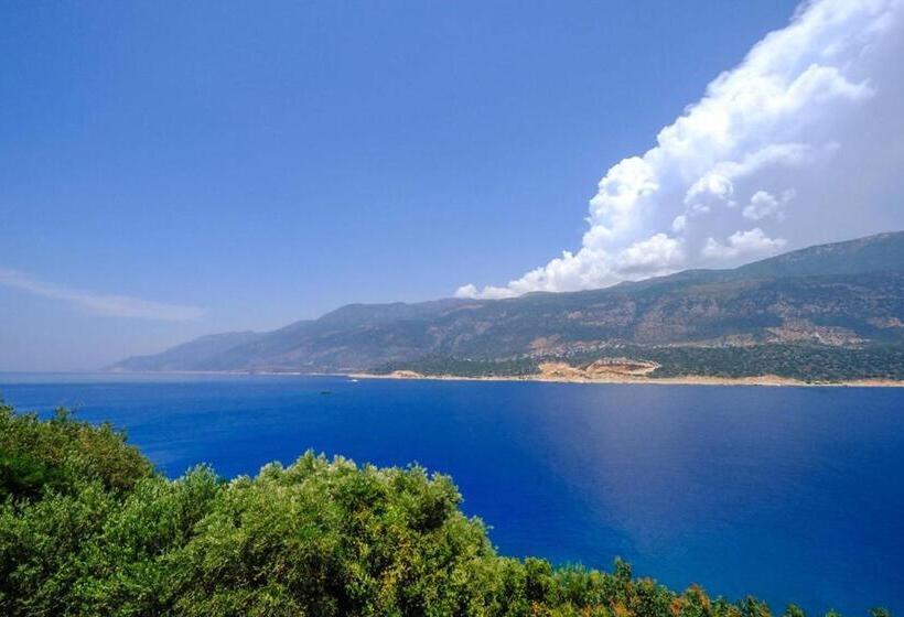 Aisha Apart Sea View