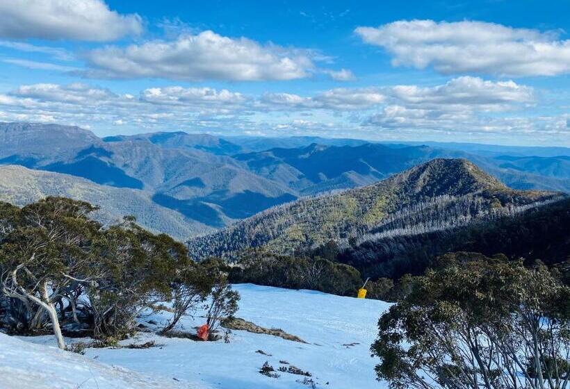 Cedar Apartments   Merrijig