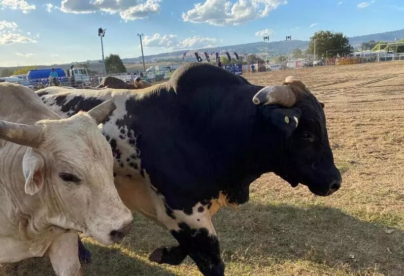 Cedar Apartments   Merrijig