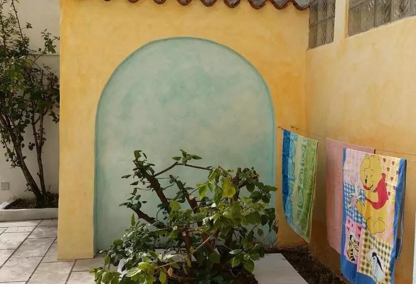 Corte Jasmin Stella