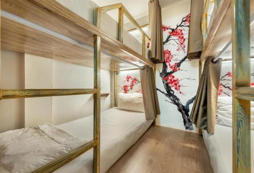 Hotel โรงแรมชิบะรูม นครราชสีมา สาขามหาวิทยาลัยเทคโนโลยีสุรนารี